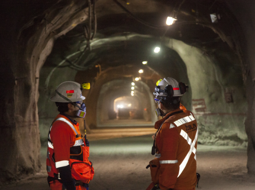 Minera inicia licitación por servicio de operador logístico de transporte nacional