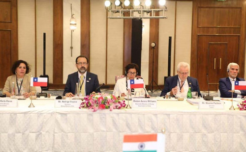 Ministra Williams destaca oportunidades de cooperación en minería para la transición energética en India