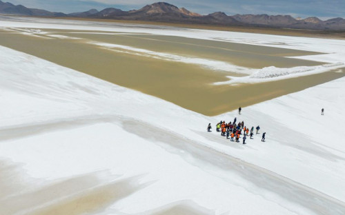 Salar de Surire: Se realizó audiencia de conciliación entre el Consejo de Defensa del Estado y Quiborax