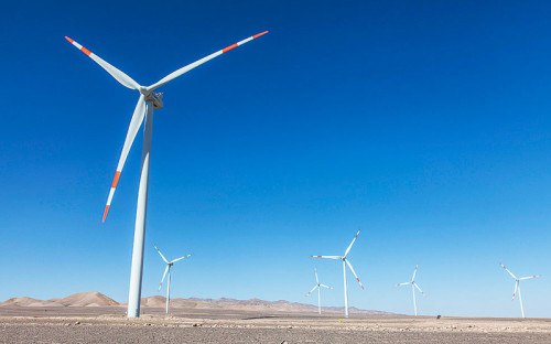 Nuevo estudio entrega criterios para proteger aves y murciélagos en proyectos energéticos