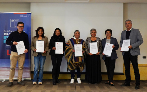 Consulta Indígena por modificación CEOL de Salar de Maricunga inicia etapa de cierre