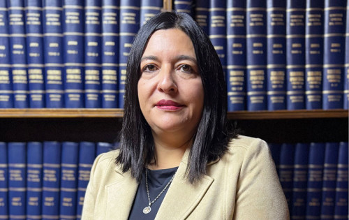 Ana Karina Ochoa asume como directora de Fiscalización de Cochilco