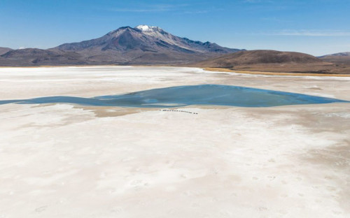 Primer Tribunal Ambiental mantiene suspendidas faenas de Quiborax en Arica