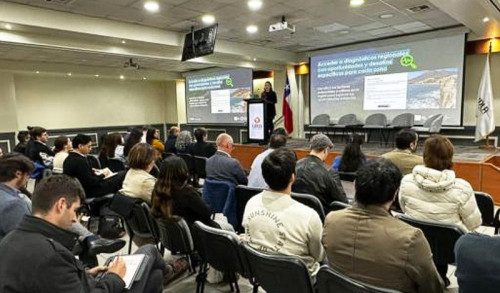 Lanzan nueva plataforma para impulsar el ecosistema de hidrógeno verde en Chile