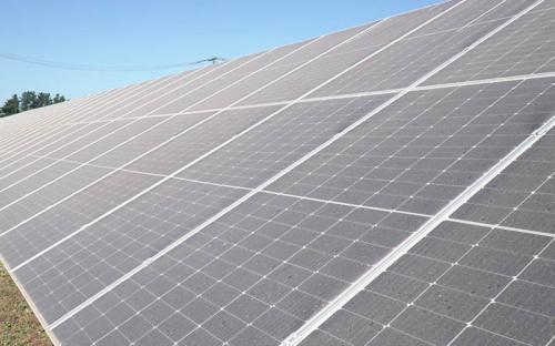 Trina Solar impulsa nuevo proyecto en el Biobío y Ñuble con millonaria inversión en parque fotovoltaico