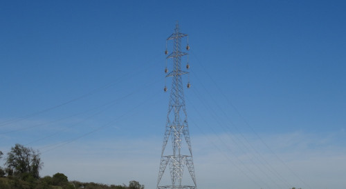 SMA ordena medidas contra Transelec por posible perturbación del Picaflor de Arica