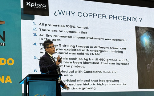 Xplora Minerals presentó en Fexmin el potencial de sus proyectos Iron Black y Copper Phoenix I & II