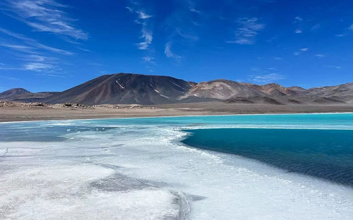 Consejo de Ministros da luz verde a la Red de Salares mediante nuevas áreas de conservación en Atacama