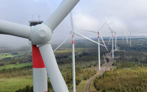 SMA formula cargos contra Parque Eólico La Estrella por afectación a cóndores andinos