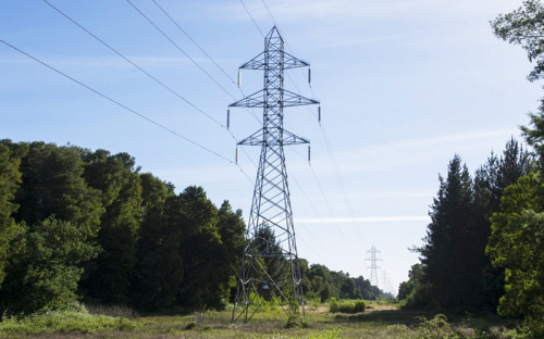 CGE Transmisión invierte US$45 millones en Línea Charrúa-Chillán para asegurar suministro eléctrico en la Región de Ñuble