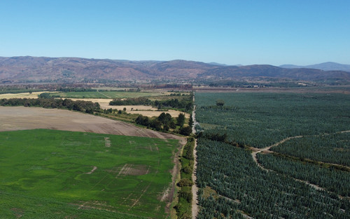 Proyecto Parque Eólico Fénix de EDF power solutions obtiene aprobación ambiental