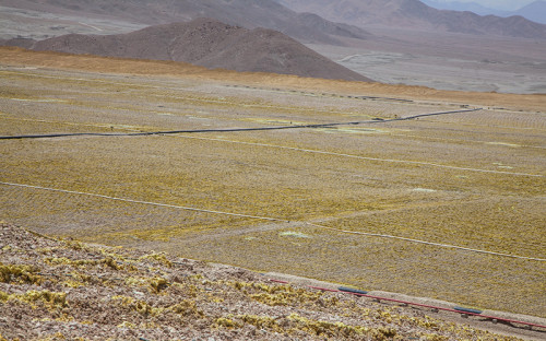 Nueva gerencia comienza a operar en Radomiro Tomic y consolida su proyecto estructural para 2030