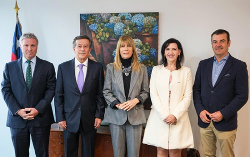 Acera plantea priorizar electrificación de la demanda y almacenamiento en la transición energética