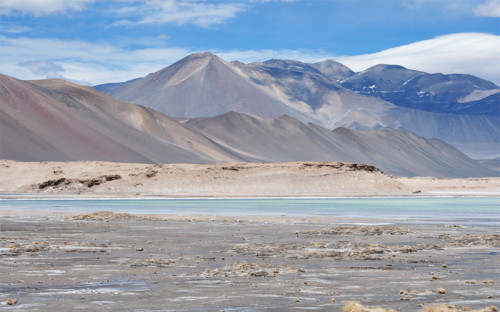 Codelco ingresa a evaluación ambiental programa de exploración de litio en Salar de Pedernales